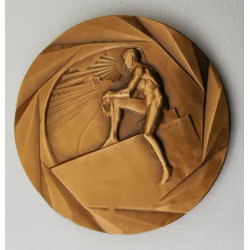 Médaille Bronze Offert par le député Henri TERRÉ